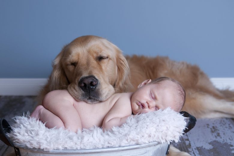 bebê e animal de estimacao
